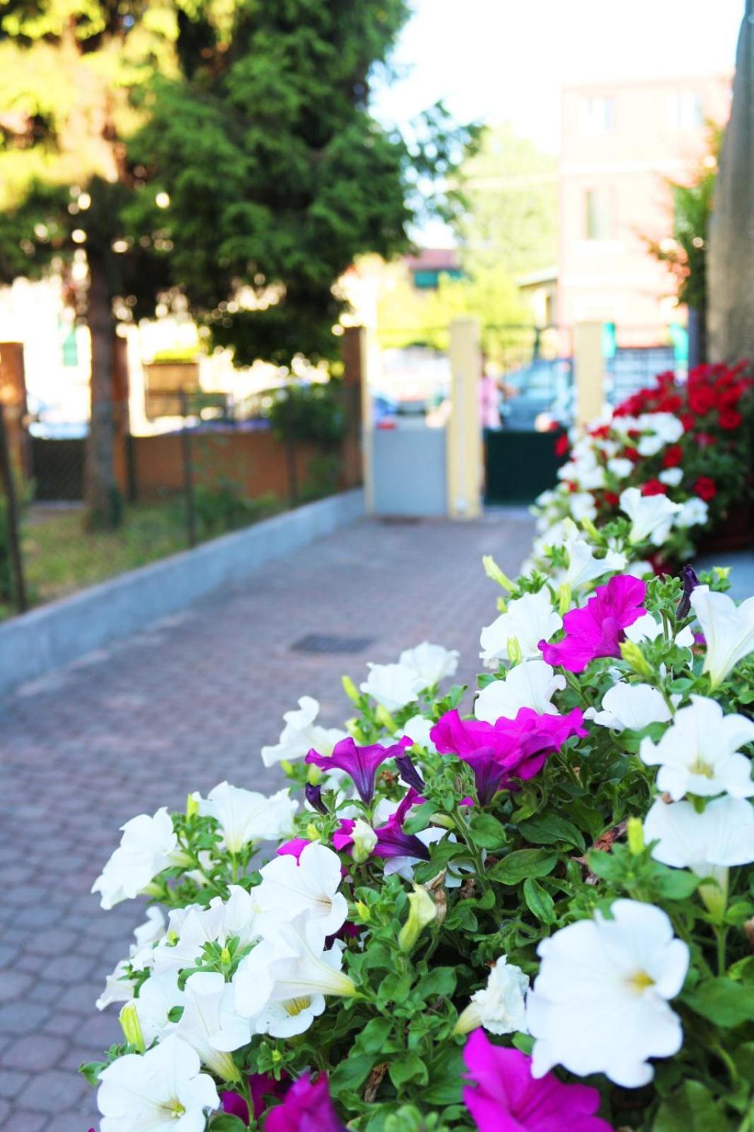 Lucky Flower *